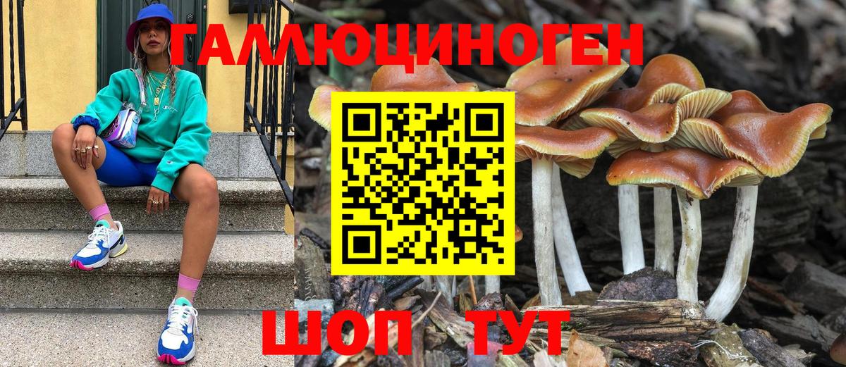 Брянск  Галлюциногенные грибы ЛСД  Вход с VPN 