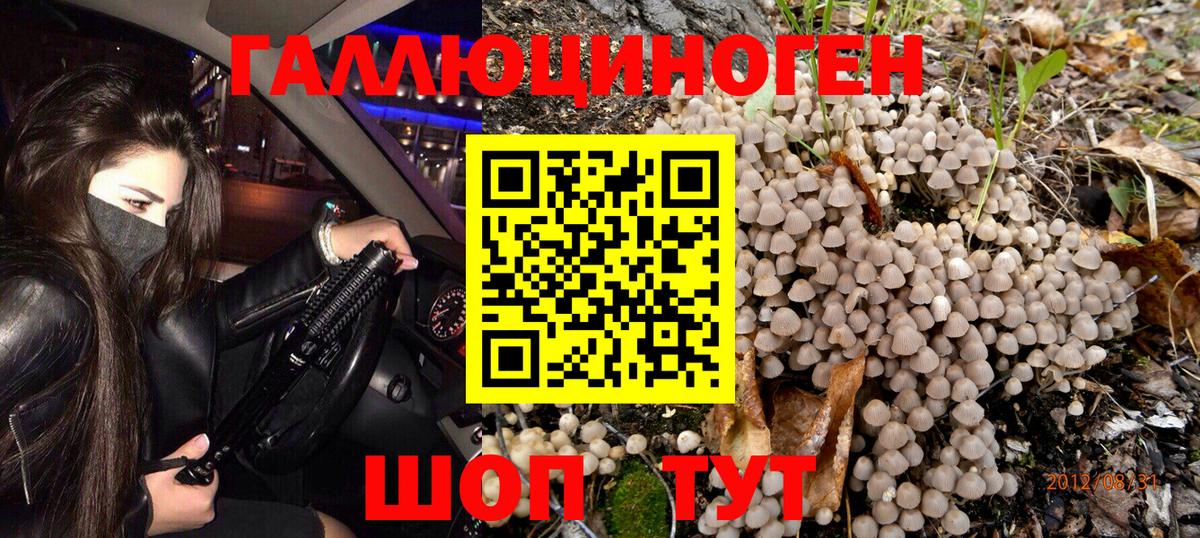 Псилоцибиновые грибы ЛСД Брянск